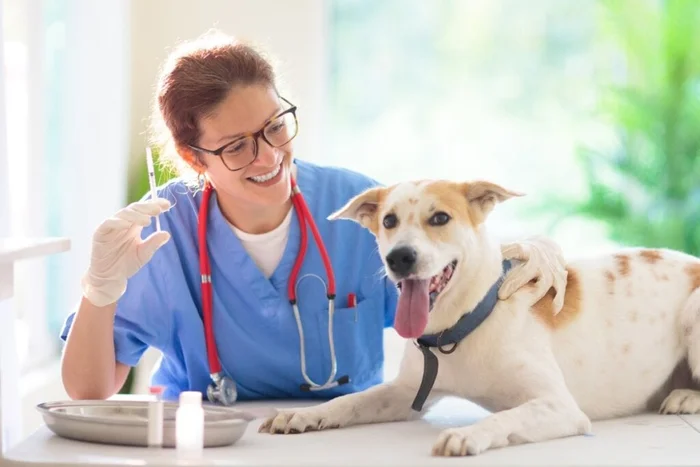 FamVeld / Shutterstock | Portal EdiCase FamVeld / Shutterstock | Portal EdiCase