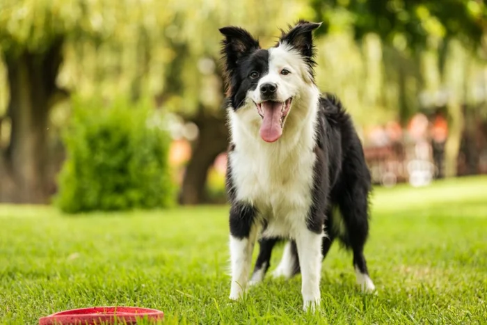 Arnold.Petersen / Shutterstock | Portal EdiCase Arnold.Petersen / Shutterstock | Portal EdiCase